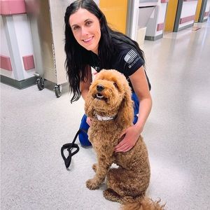 Meet your Posher, Morgan